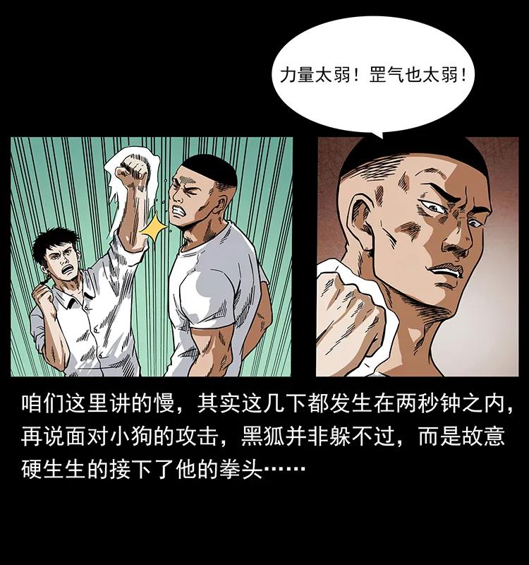 206 不断成长的陈小狗22