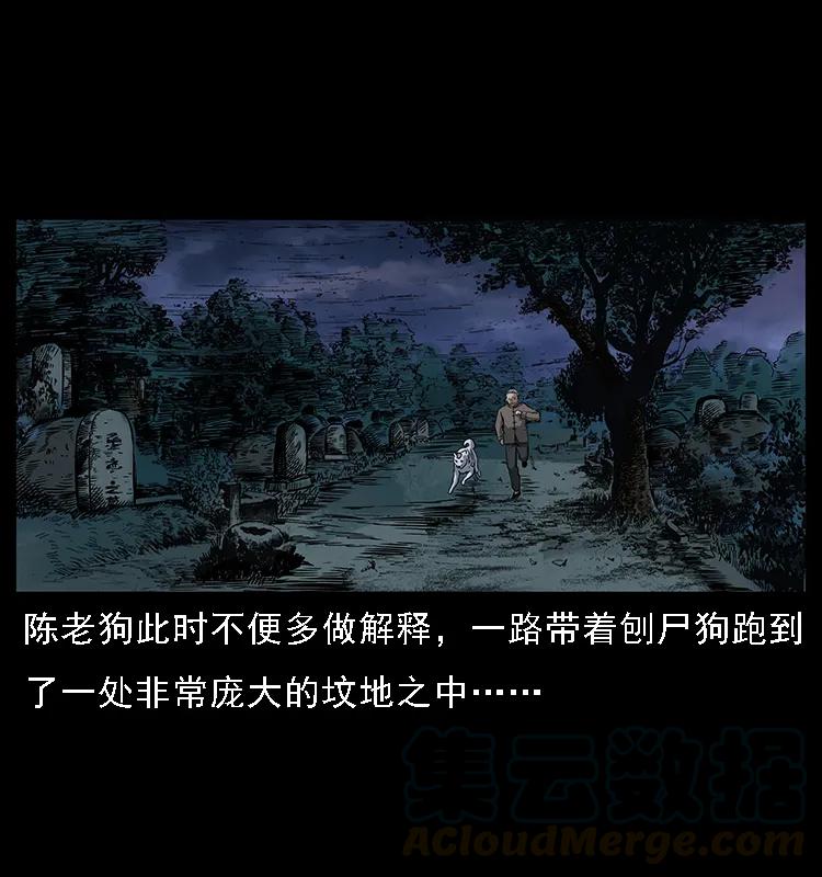 084 刨尸狗的妖化之路4