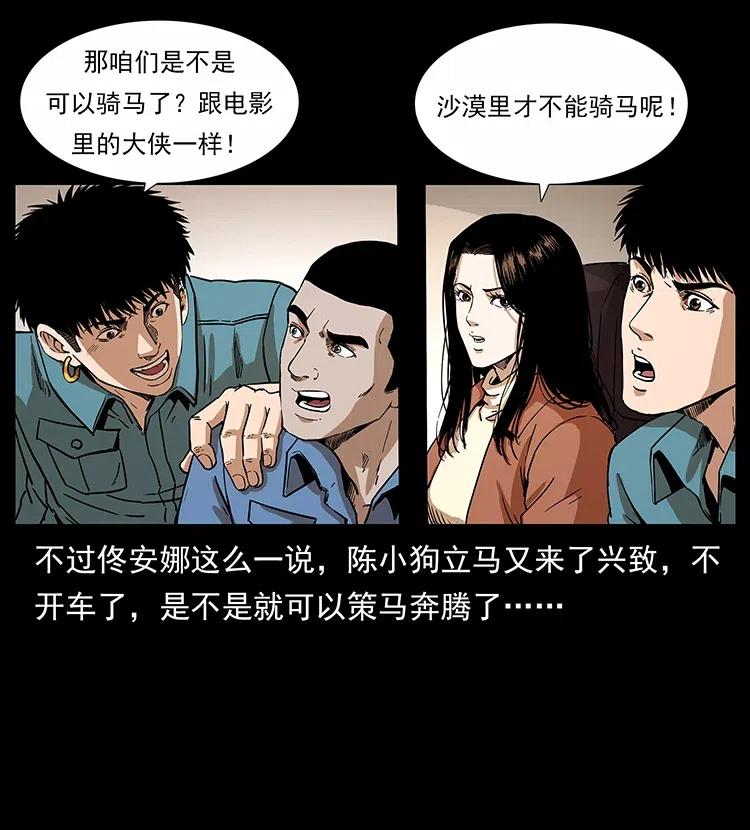 316 大漠归客6