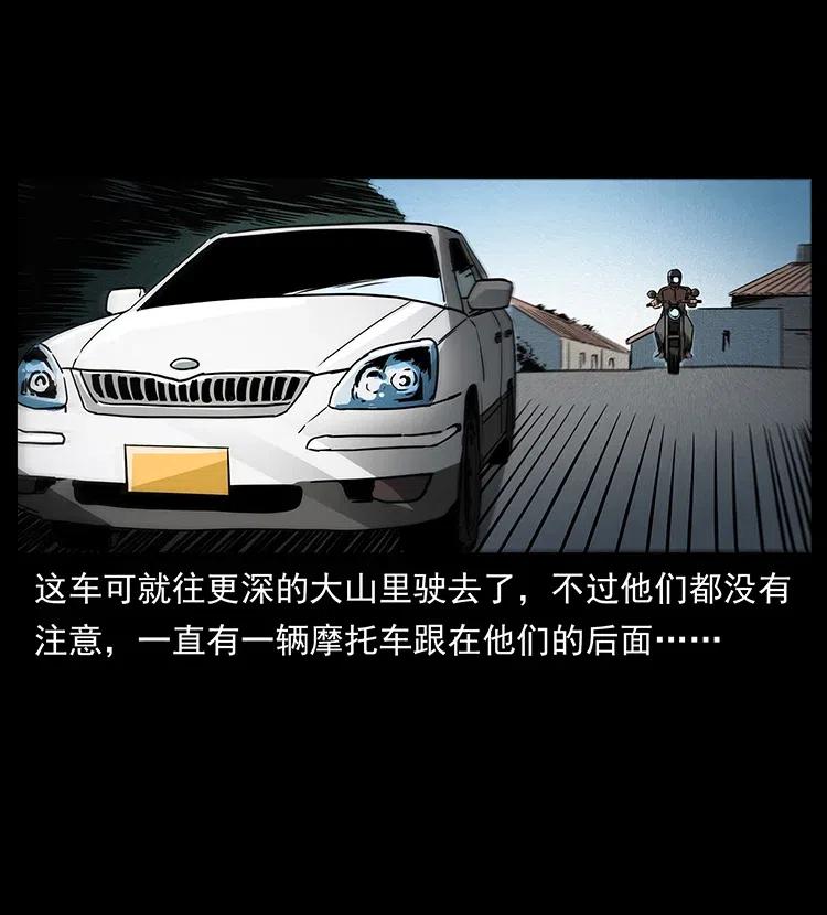 311 一窝生几个？51