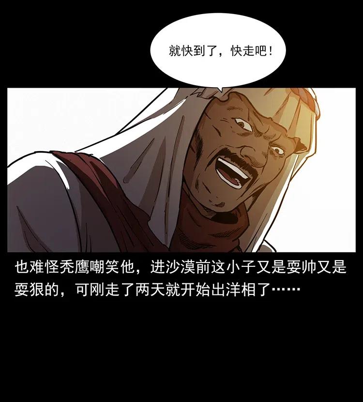 318 沙漠秃鹰9