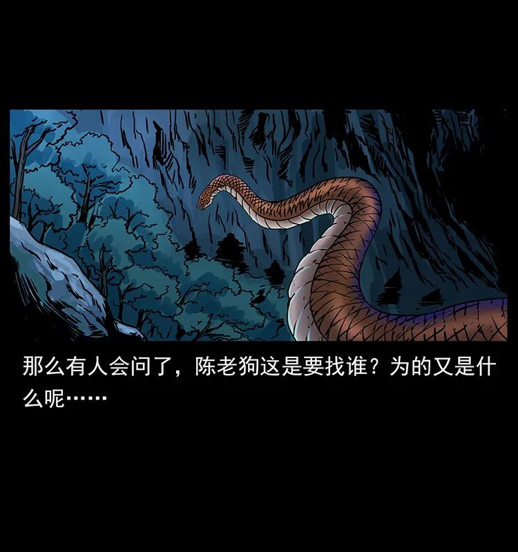 263 恐怖杀人峰57