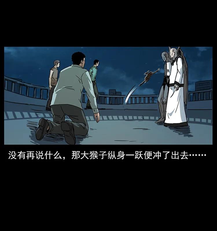 229 东海龙骨33