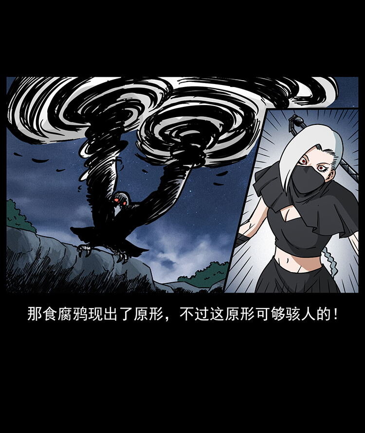 484 极地鸦族43