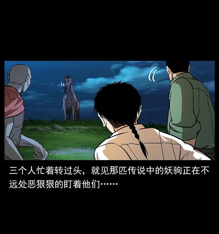 158 妖驹的选择15