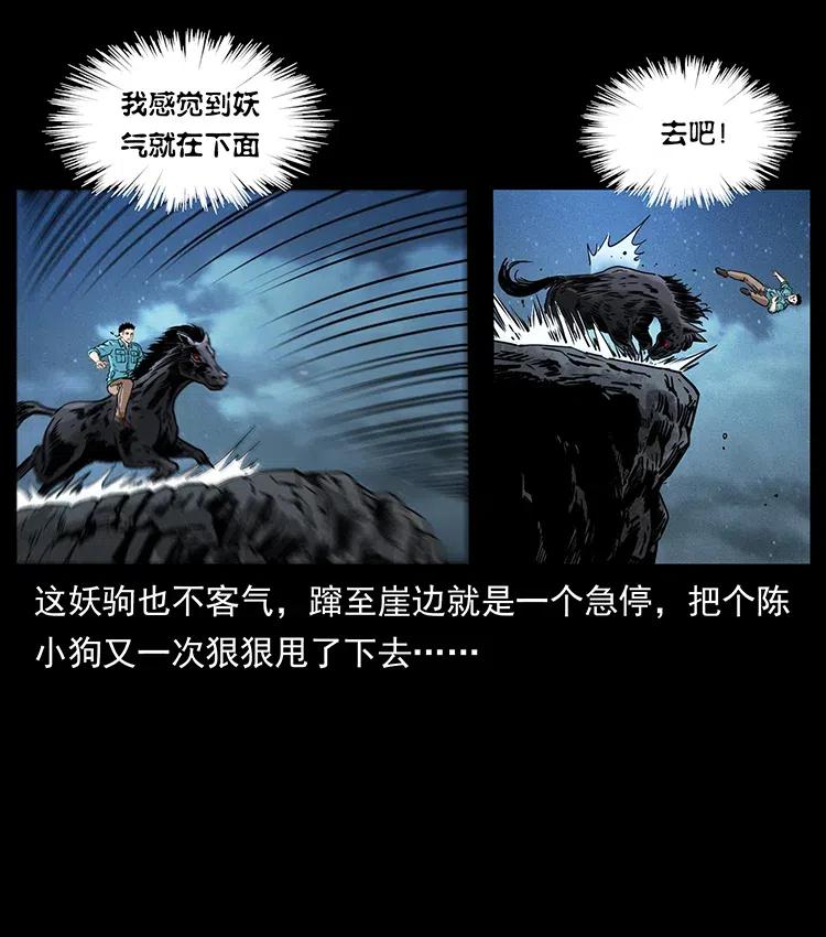 370 乌翅凤凰22
