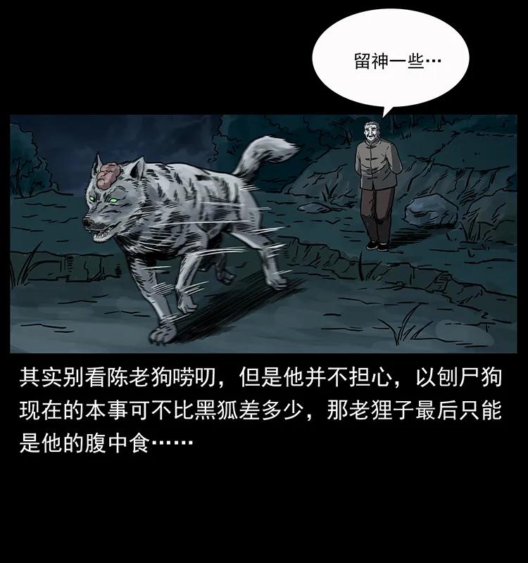 250 走失78