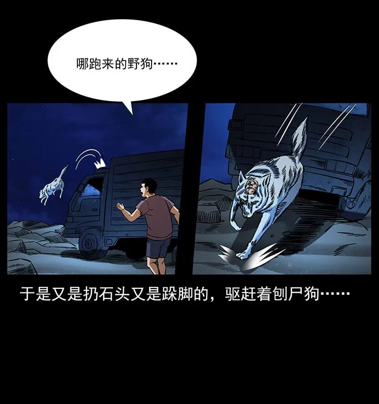 170 布局13