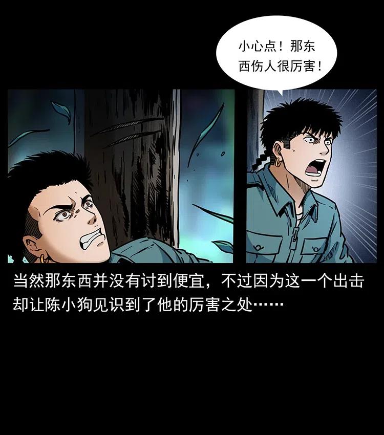 341 咒术81