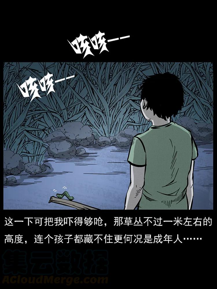 番外2 之保家白仙12
