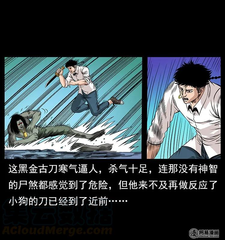 118 天宝仙牌20
