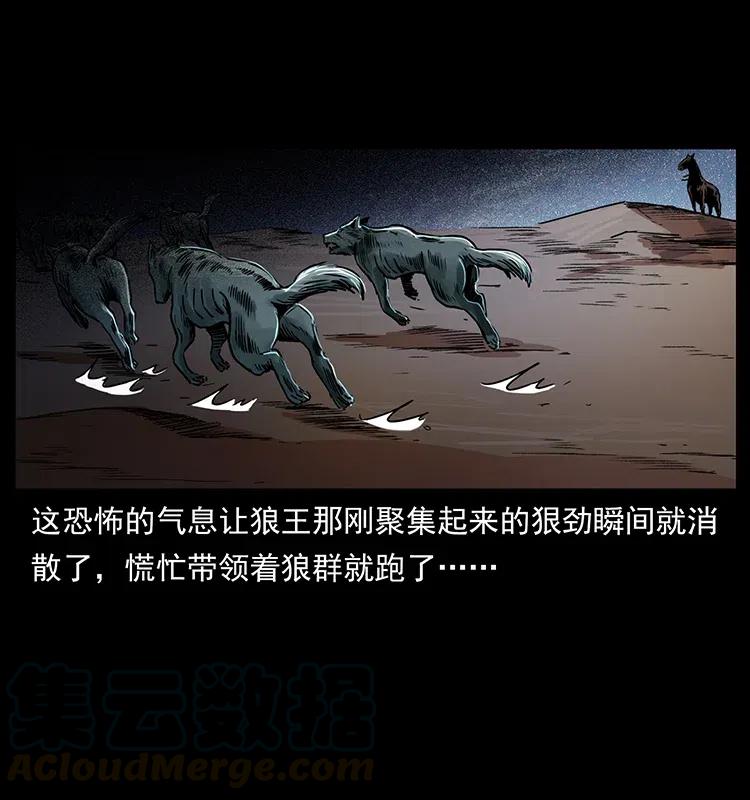 318 沙漠秃鹰44