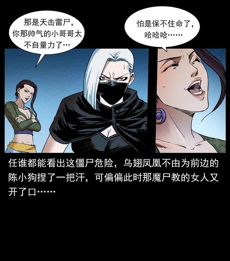 372 天击雷尸34