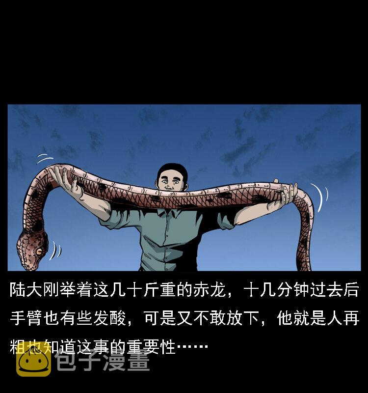 031 斗土蛟339
