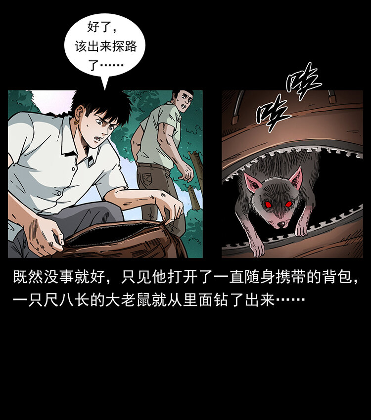 442 羽人现身15
