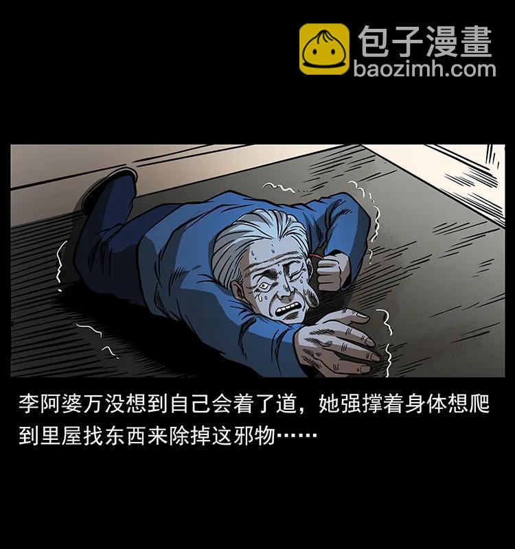 160 李老太太54
