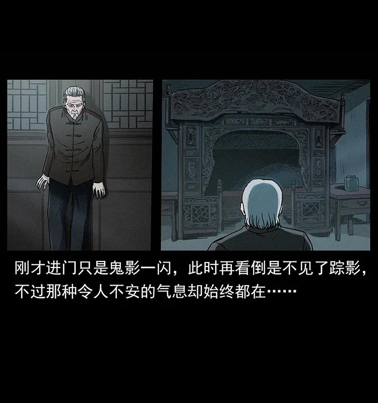 306 怨鬼？精怪？7