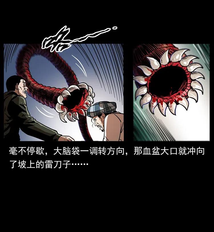 323 地球之耳37
