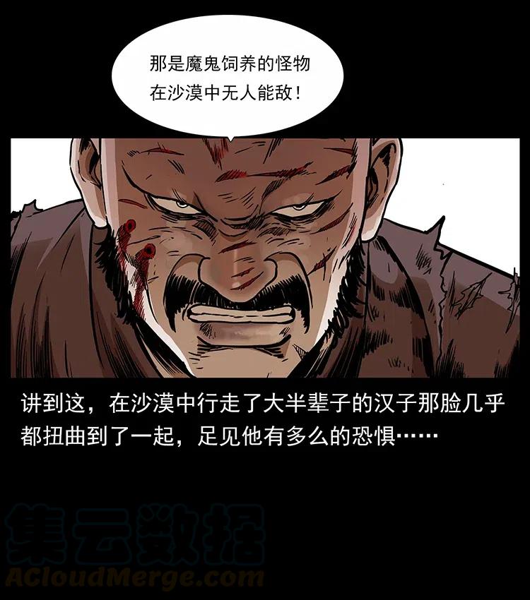 317 大漠凶兽20