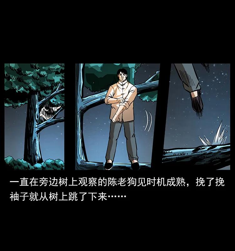 163 陈老狗下南疆14