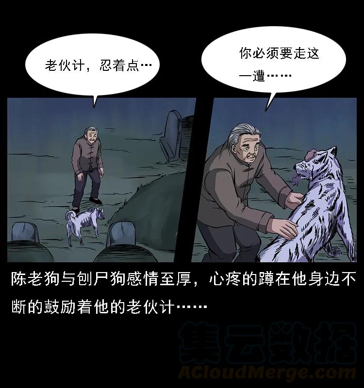 084 刨尸狗的妖化之路24