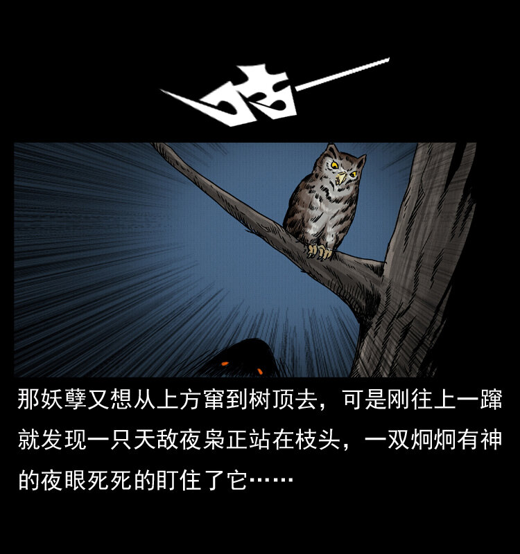 008 槐树下的小庙62