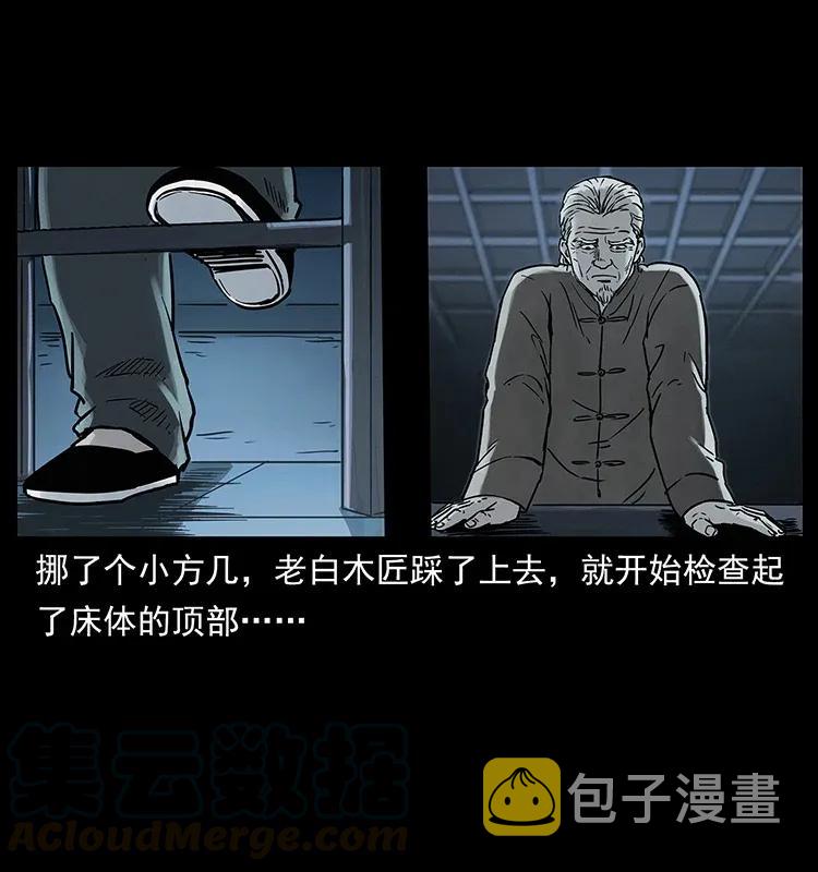306 怨鬼？精怪？12