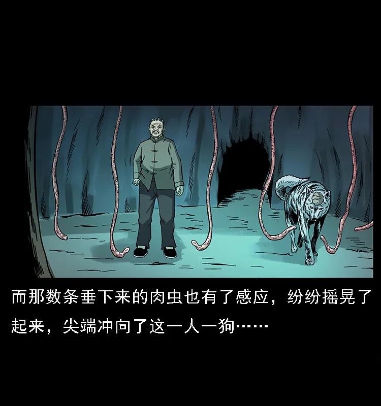 082 鬼桃树65