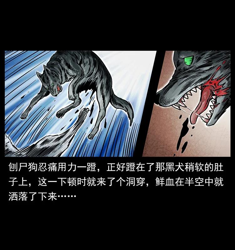 252 危机！危机23