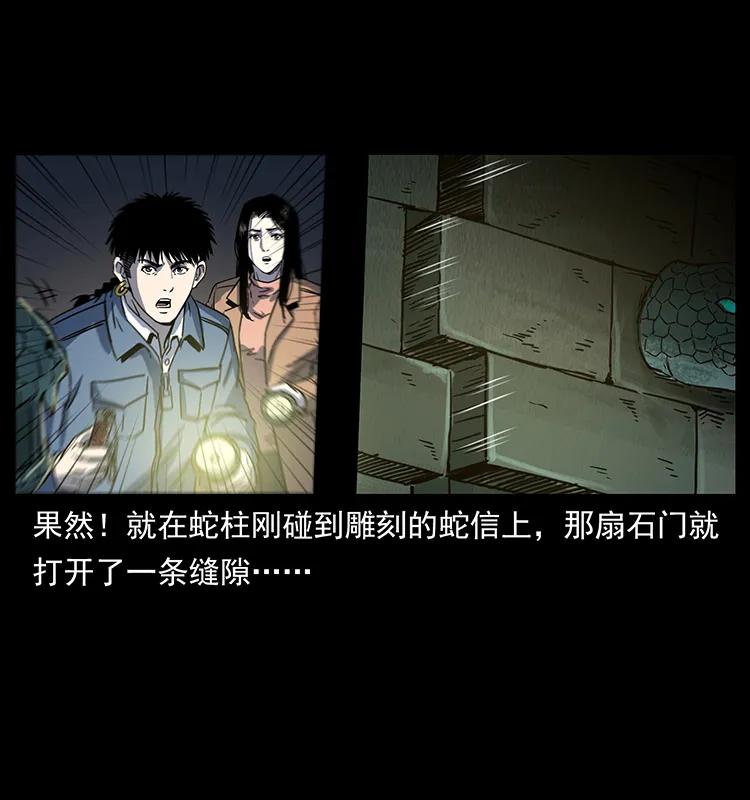 262 藏地神族27