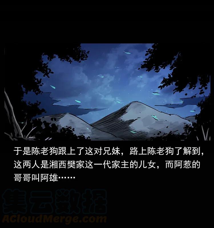 302 湘西寻尸44
