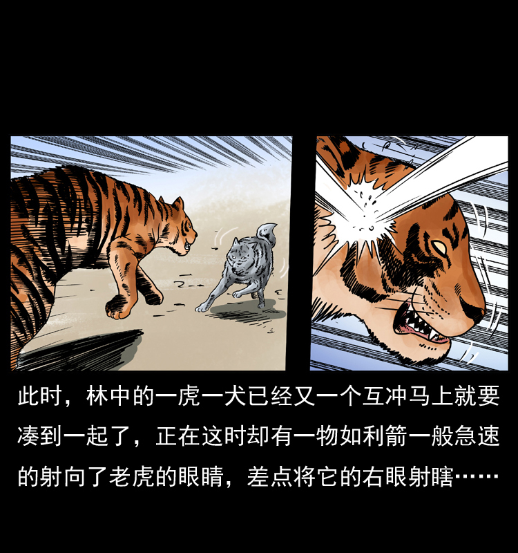049 刨尸狗传奇234