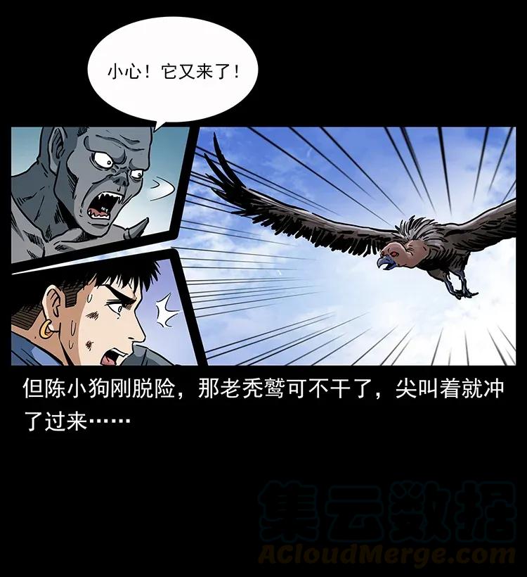 281 柱子归来！40