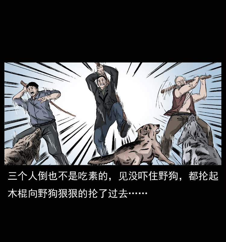 050 刨尸狗传奇332