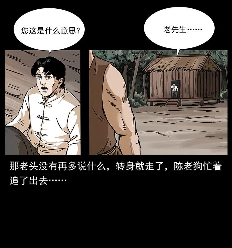 231 东海木龙63