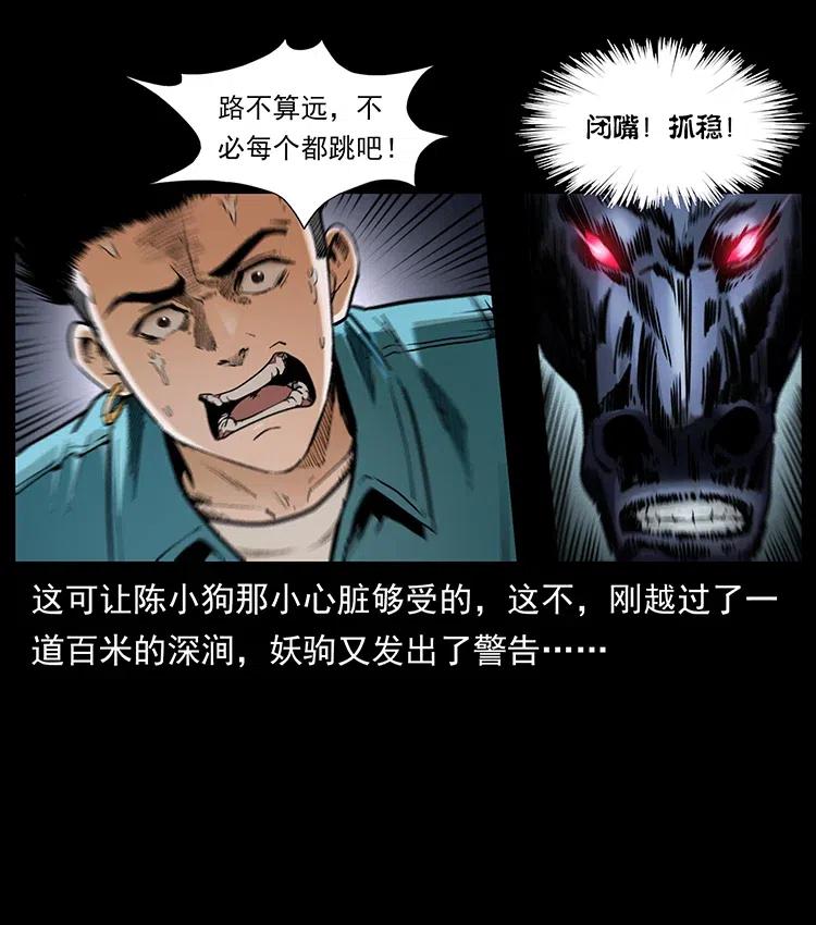 370 乌翅凤凰5