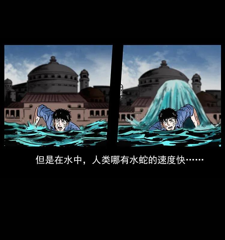 285 水蛟一族27