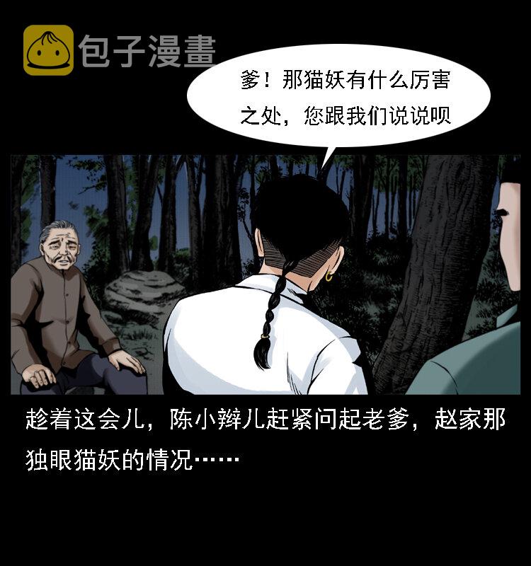 003 赵家的猫16