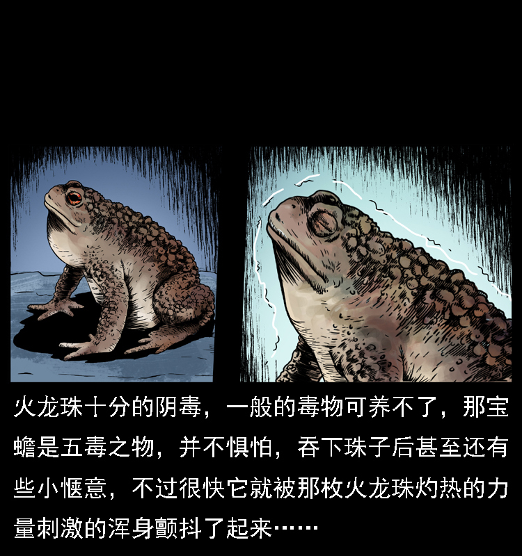 024 聚宝蟾20