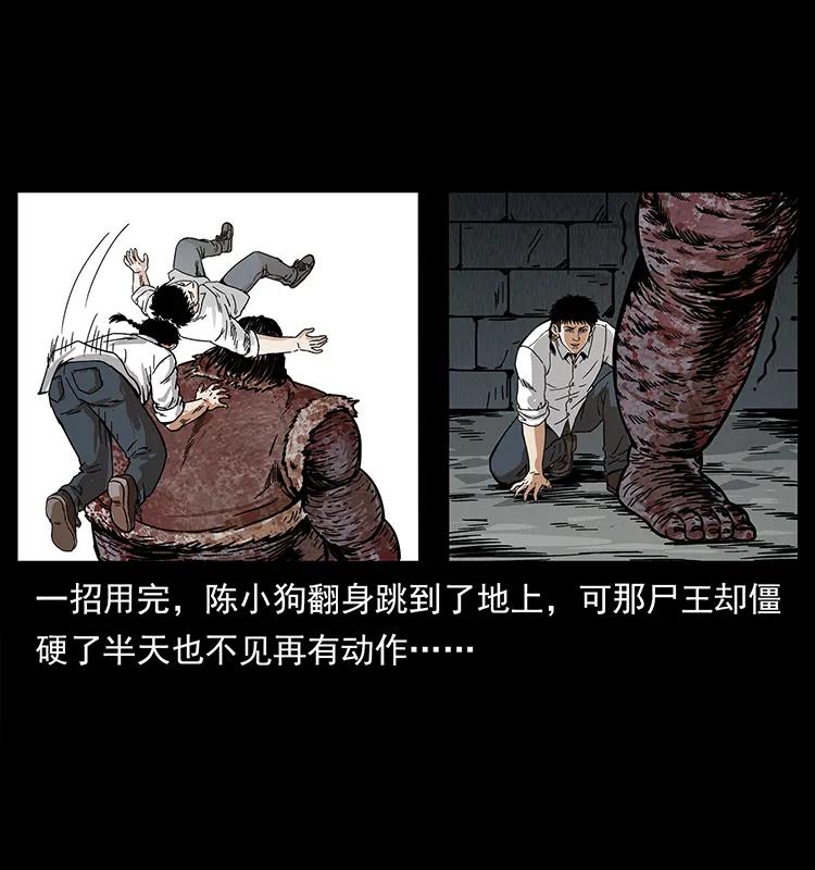 208 哪来的尸王79