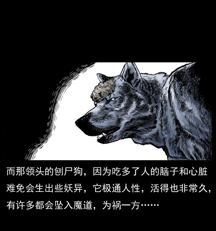005 刨尸狗16