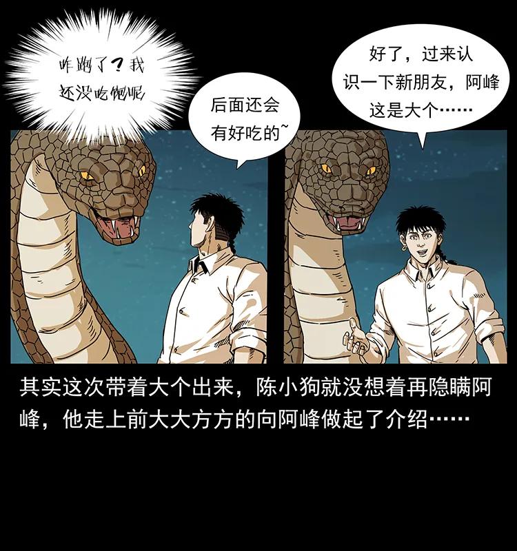 212 草原深处49