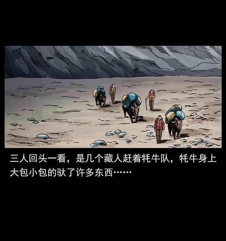 265 出发，乔戈里！5