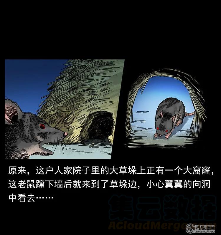 136 插树沟尸魃36
