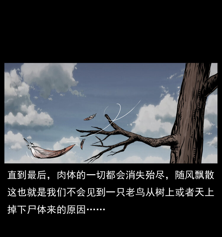 036 百雀丹（上）9