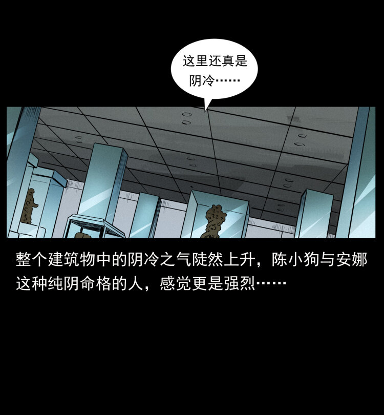 419 马先生的博物馆45