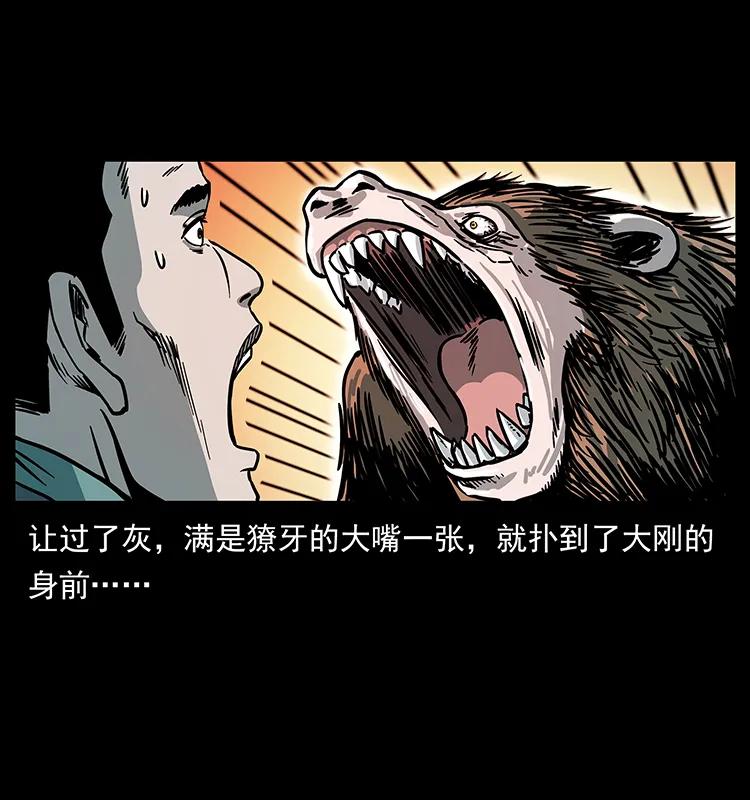 228 凶兽75