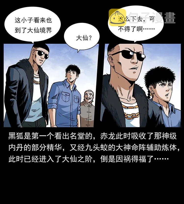 293 赤龙回归34