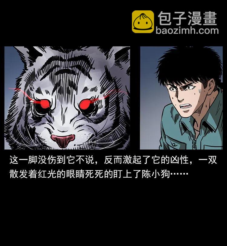 342 白毛僵尸30