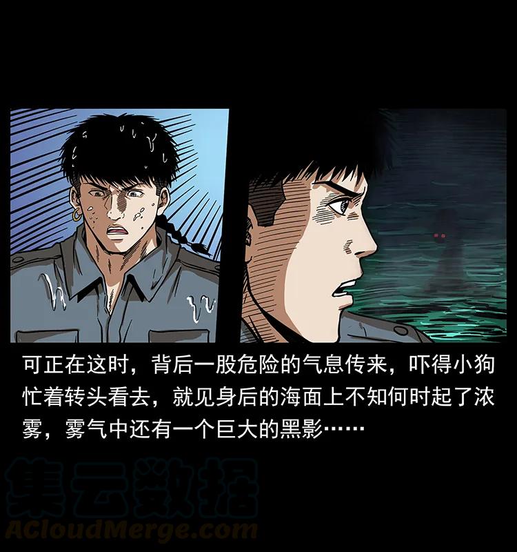 242 陈小狗失算了4